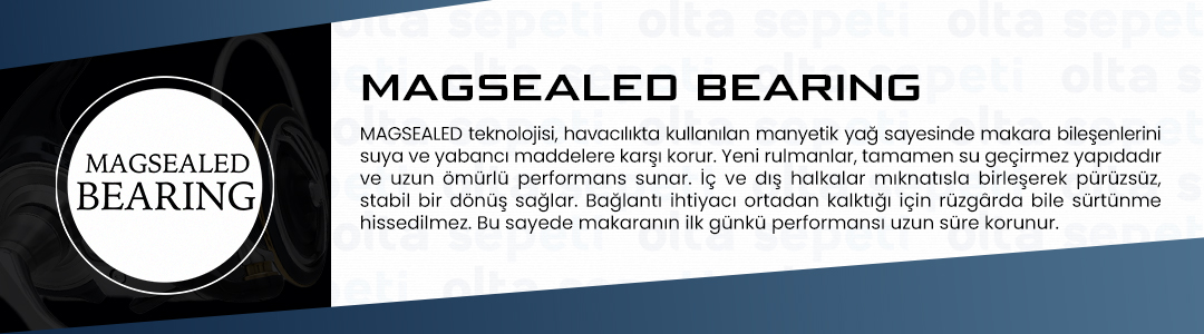 magsealed-bearing.jpg